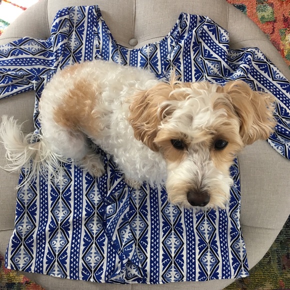 Meet your Posher, Danielle - Picture 4 of 4